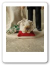 Cake Topper (07)