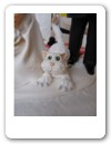Cake Topper (14)