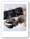 Cake Topper (58)