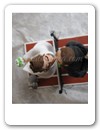 Cake Toppers 100 (07)