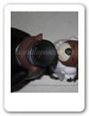 Cake Toppers 100 (47)