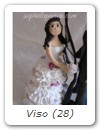 Viso (28)