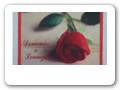 Guestbook N03