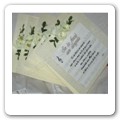 Tableau  Canzoni Lucio Dalla 02