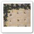 tableau alberi da frutto B01
