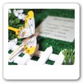 tableau farfalle (3)