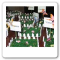 tableau farfalle (8)