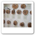 tableau orme C06