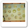 tableau rane