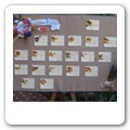 Tableau biscotti 01