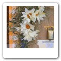 Tableau formaggi 03