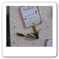 Tableau orto 03
