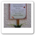 Tableau orto 05