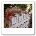 Tableau spezie 02