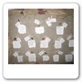 Tableau spezie 08