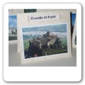 tableau castelli B08