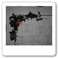tableau proverbi C03