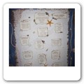 Tableau Matrimonio conchiglie 04