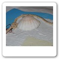 Tableau Matrimonio isole (04)