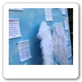 Tableau Angeli 10