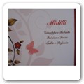 Tableau Frutti rossi 02