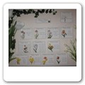 Tableau Tulipani 01