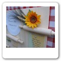 Cotone e Legno